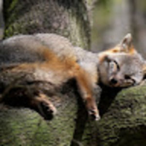 Meet your Posher, Eumabaa